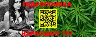 экстази Ачхой-Мартан