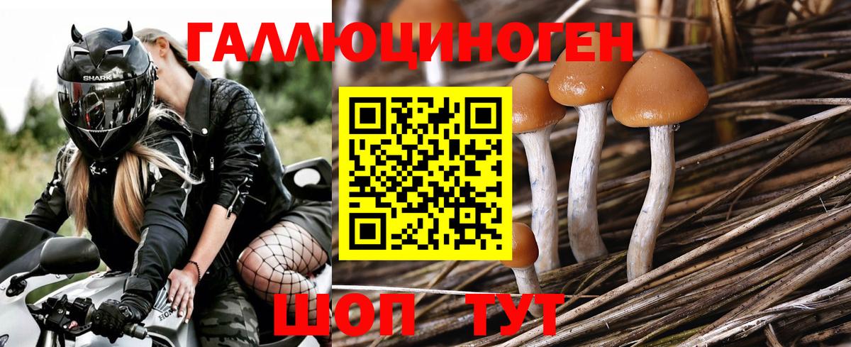 Галлюциногенные грибы мухоморы  Вход с VPN  Павлово  продажа наркотиков  Галлюциногенные грибы GOLDEN TEACHER 