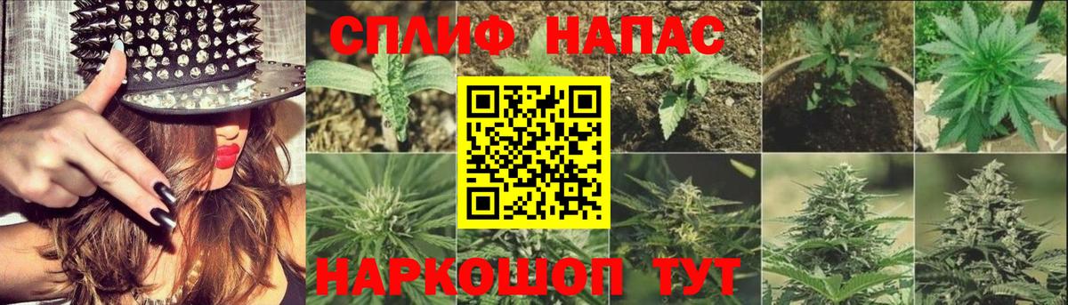Шишки марихуана THC 21%  Марихуана план  Вход с VPN  Конопля AK-47  Павлово  Каннабис план 